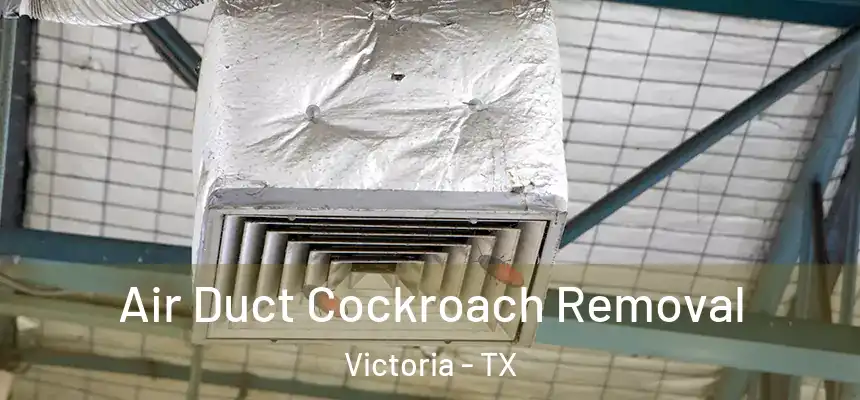  Air Duct Cockroach Removal Victoria - TX