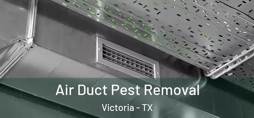Air Duct Pest Removal Victoria - TX