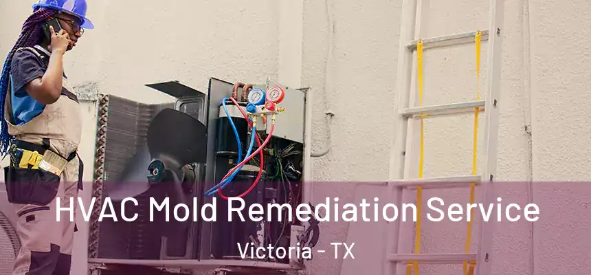  HVAC Mold Remediation Service Victoria - TX