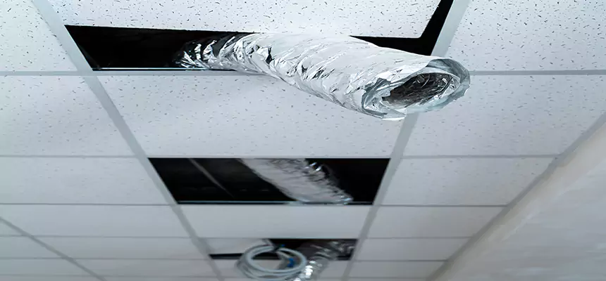 Affordable HVAC Sanitizing After Pest Removal in Victoria