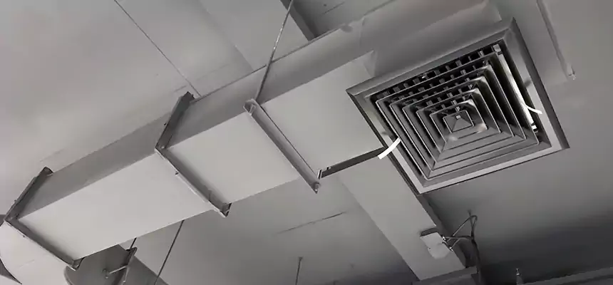 Restorative Allergy Relief Vent Cleaning – Coil, Blower & Housing Detail in Victoria