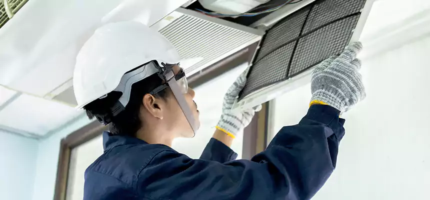 Our Mold & Mildew Removal from Air Ducts Services in Victoria, TX