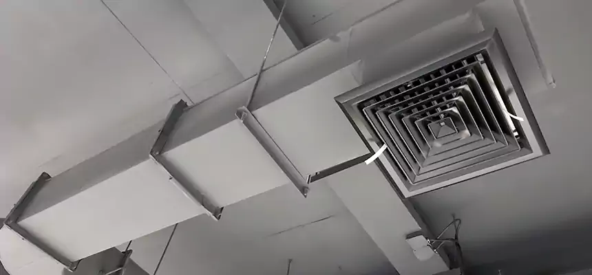 Our Pest Removal From Ducts Services in Victoria, TX