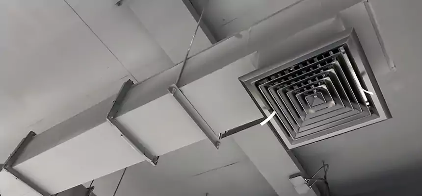 Our Rodent Droppings In Vents Services in Victoria, TX