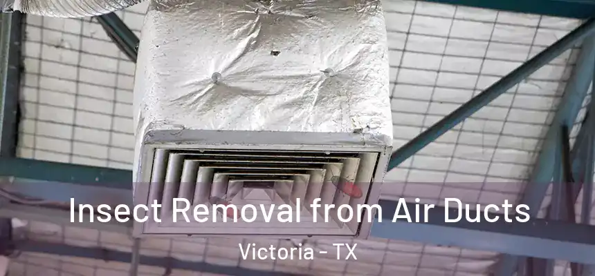  Insect Removal from Air Ducts Victoria - TX