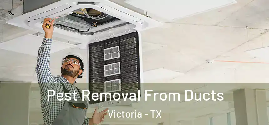  Pest Removal From Ducts Victoria - TX