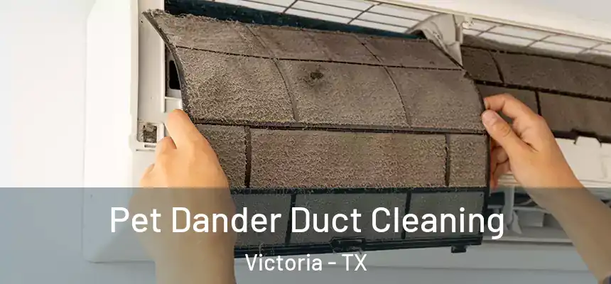 Pet Dander Duct Cleaning Victoria - TX