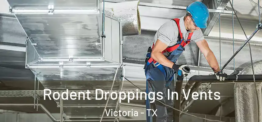  Rodent Droppings In Vents Victoria - TX