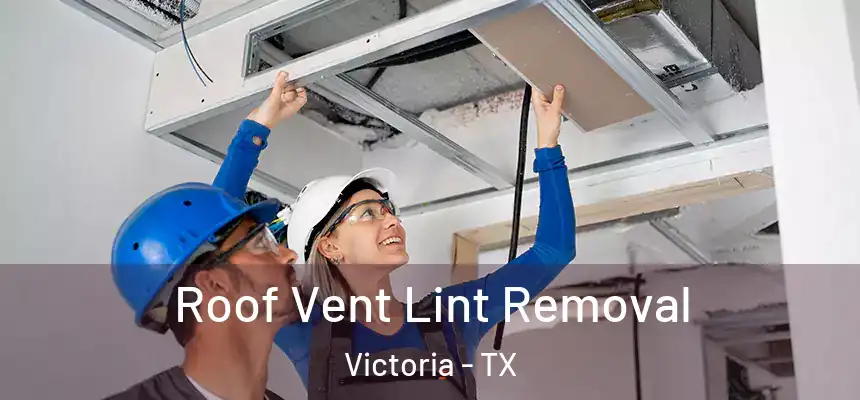  Roof Vent Lint Removal Victoria - TX