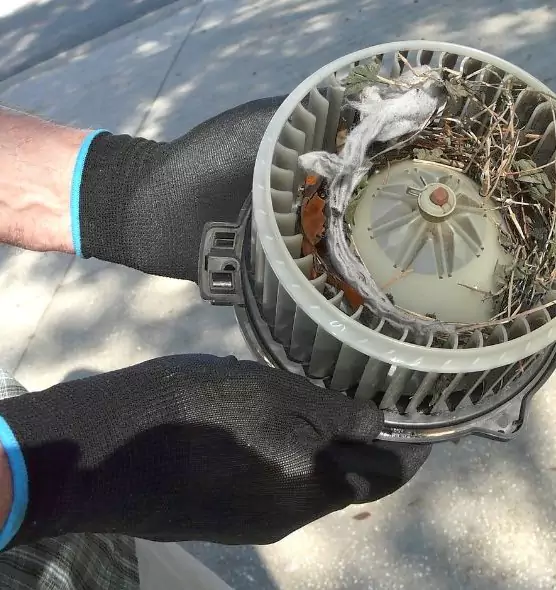 About Air Duct Rat Removal in Victoria, TX