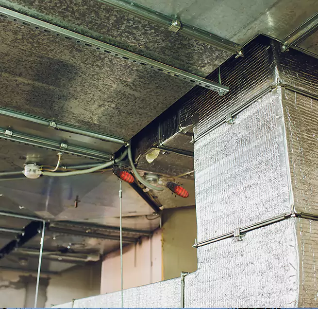 Why Homeowners & Businesses Trust Us in Victoria, TX?