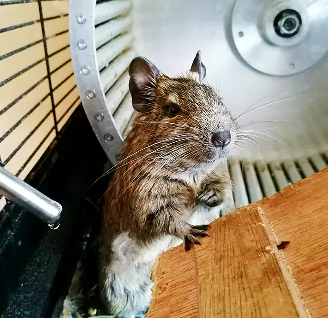 Why Homeowners & Businesses Trust Us Victoria, TX?